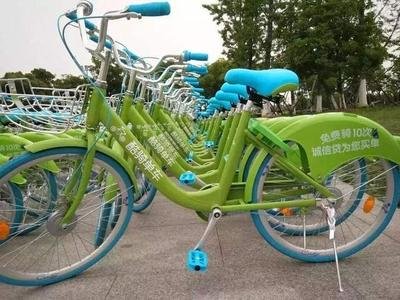 與單車(chē)有約 更需勿忘安全
