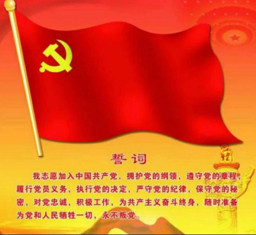 《致黨代表》學習感悟