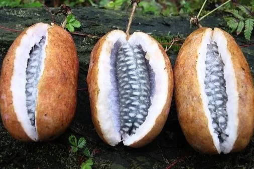 ҰĪӛ