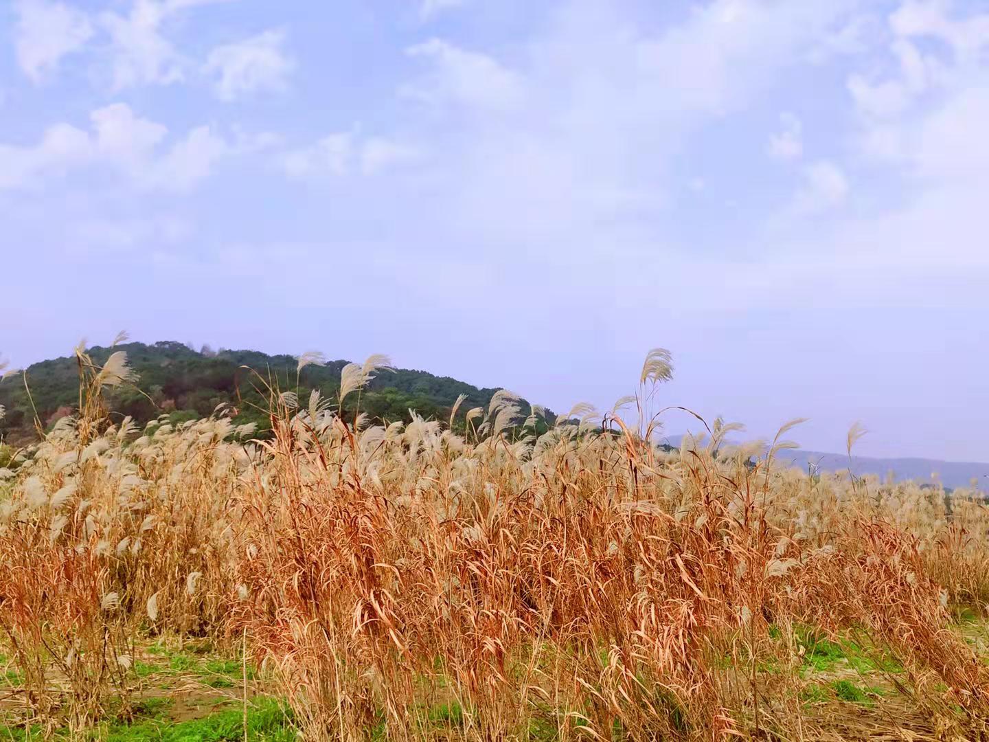 rеJȔ
