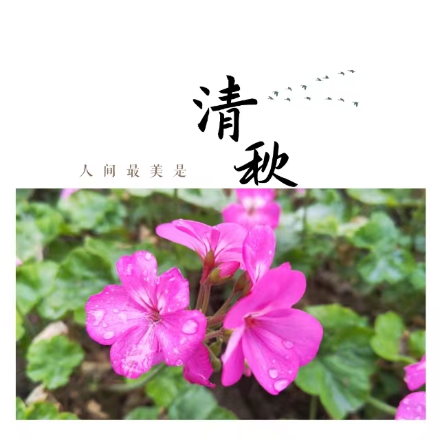 ۽Ǯʮ䓳ǡӡ