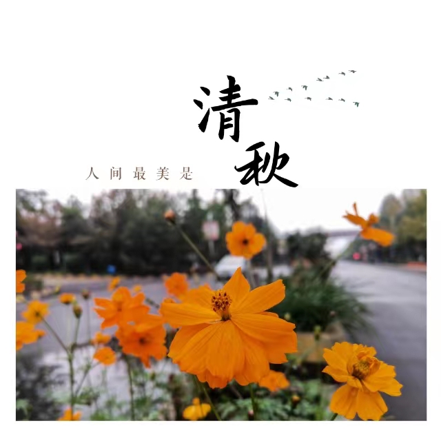 ۽Ǯʮ䓳ǡӡ
