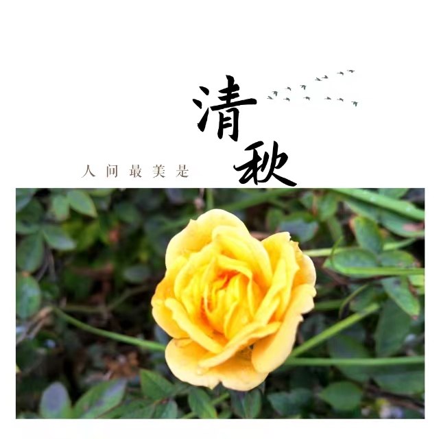 ۽Ǯʮ䓳ǡӡ
