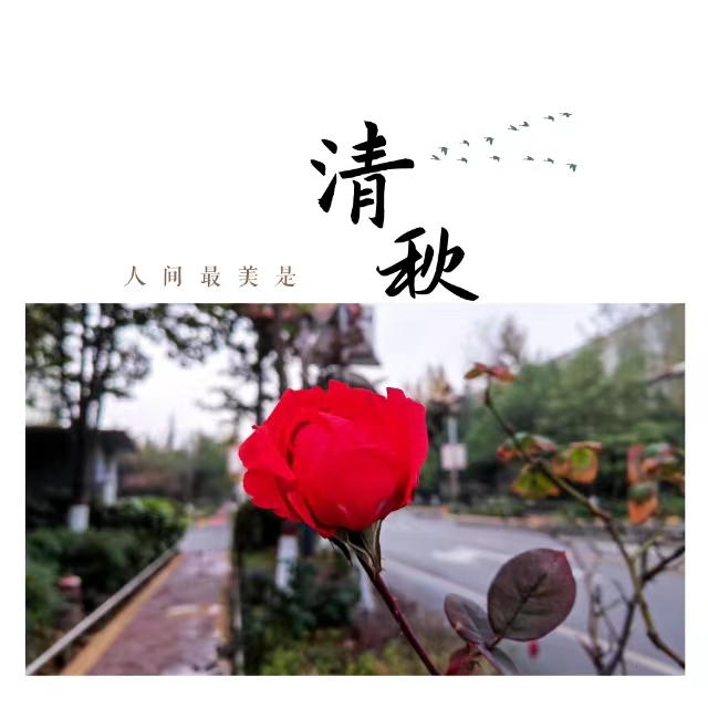 ۽Ǯʮ䓳ǡӡ
