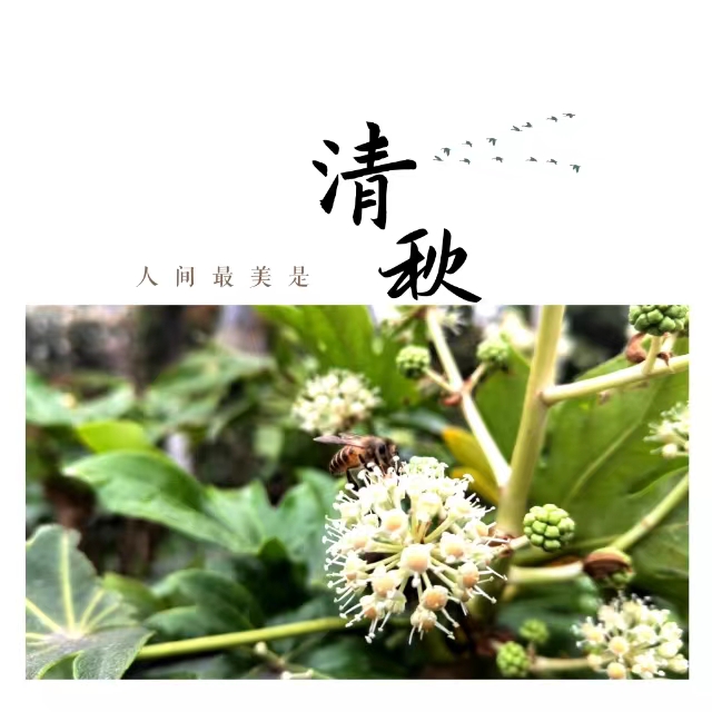 ۽Ǯʮ䓳ǡӡ