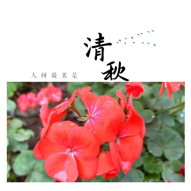 ۽Ǯʮ䓳ǡӡ