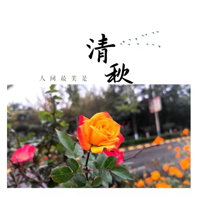 ۽Ǯʮ䓳ǡӡ