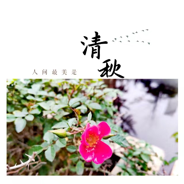 ۽Ǯʮ䓳ǡӡ