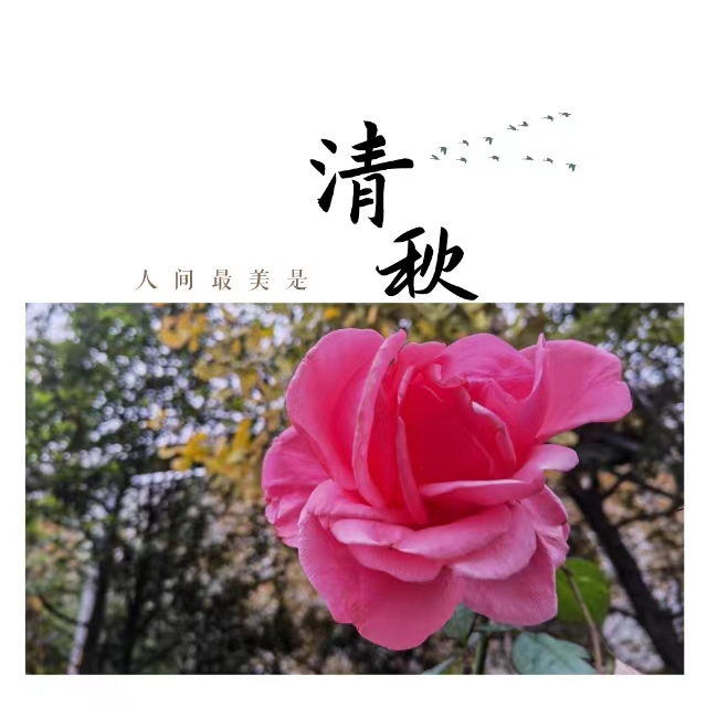 ۽Ǯʮ䓳ǡӡ