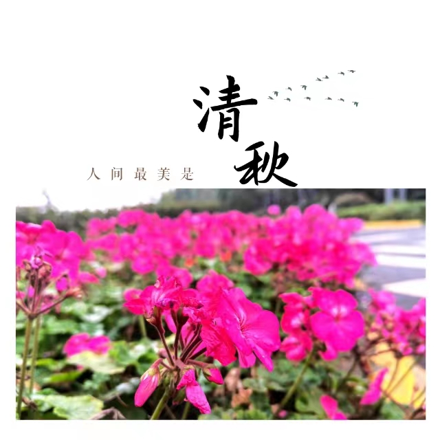 ۽Ǯʮ䓳ǡӡ