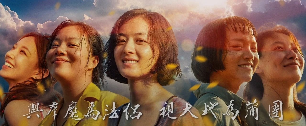 向陽而生，無畏綻放-觀《向陽花》有感