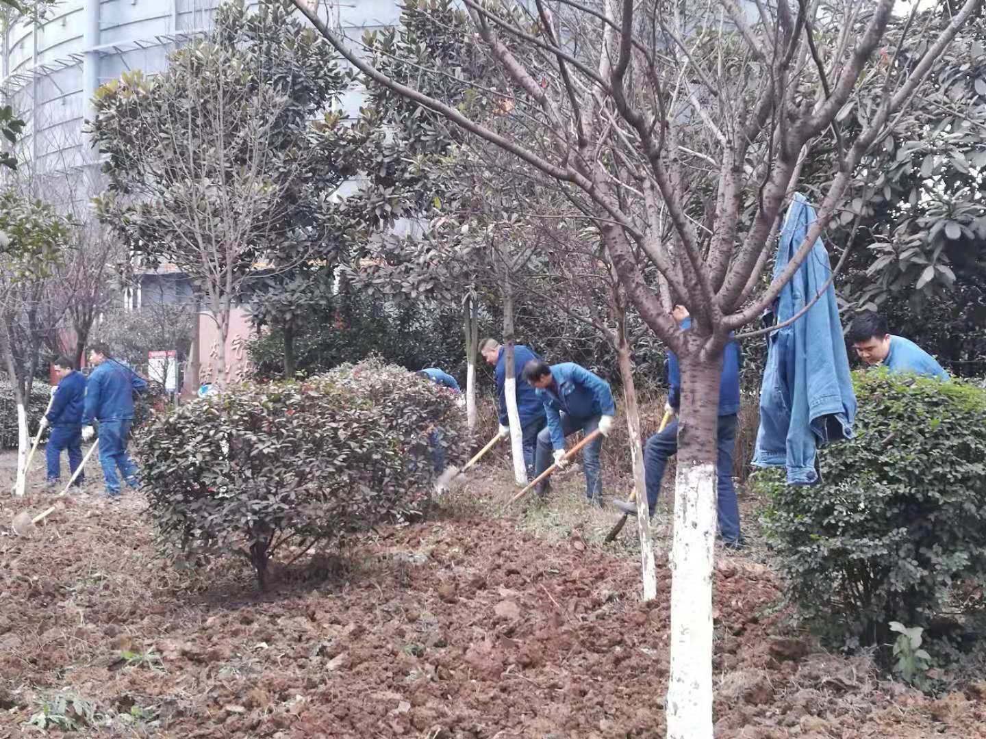【美麗漢鋼】春暖花開季  護(hù)綠增綠正當(dāng)時(shí) ——漢鋼公司打響春季綠化美化攻堅(jiān)戰(zhàn)
