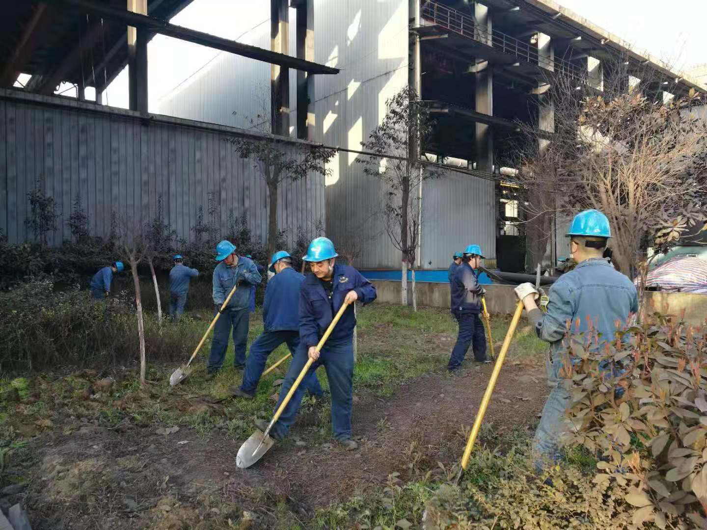 【美麗漢鋼】讓員工在綠色和繁花中徜徉——陜鋼集團(tuán)漢鋼公司組織愛綠護(hù)綠活動