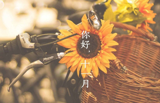 【鋼城文苑】十一月，收獲美好