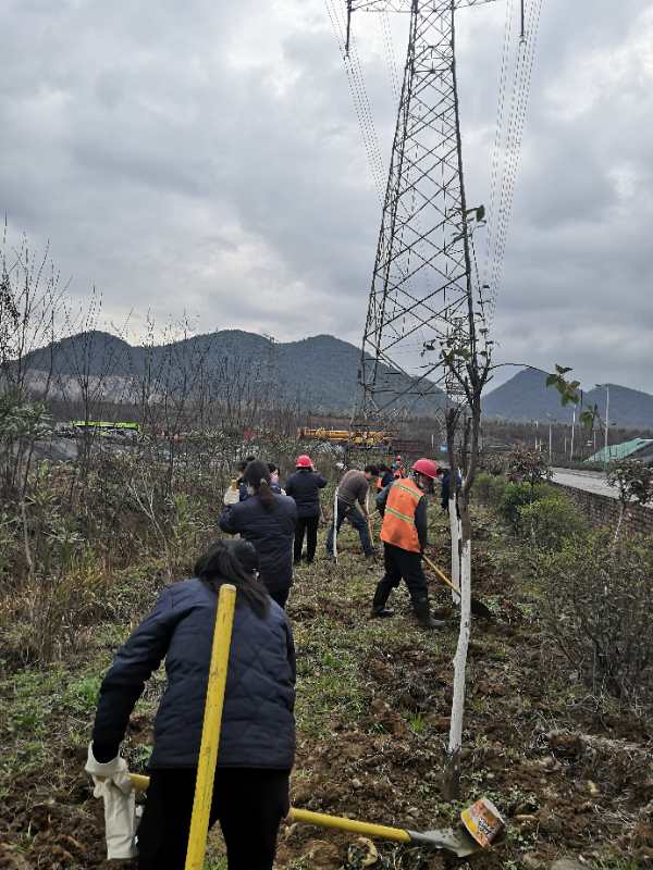 【美麗漢鋼】物流中心黨委積極為“植樹節(jié)”活動做準備