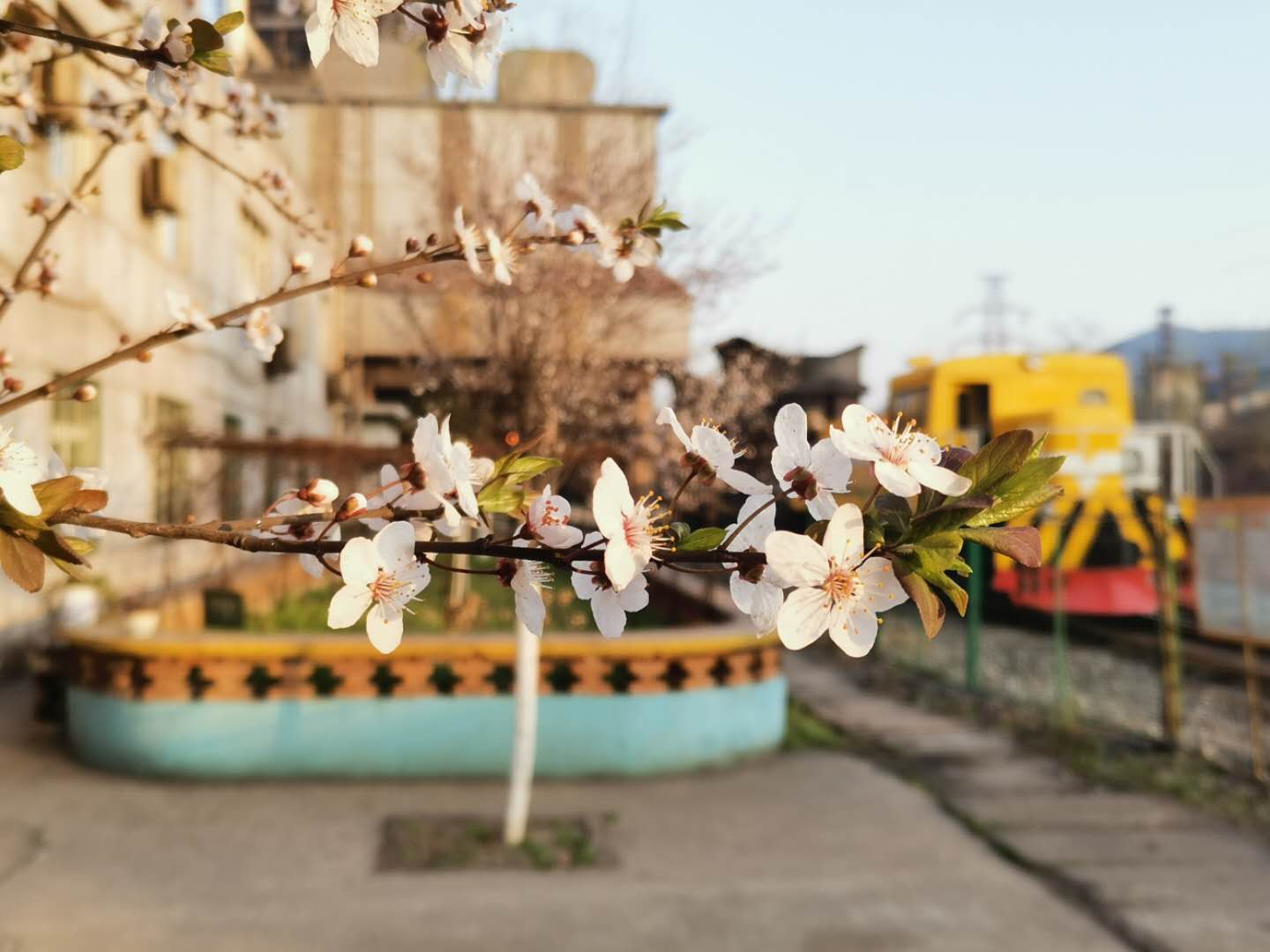 䓳ԷT