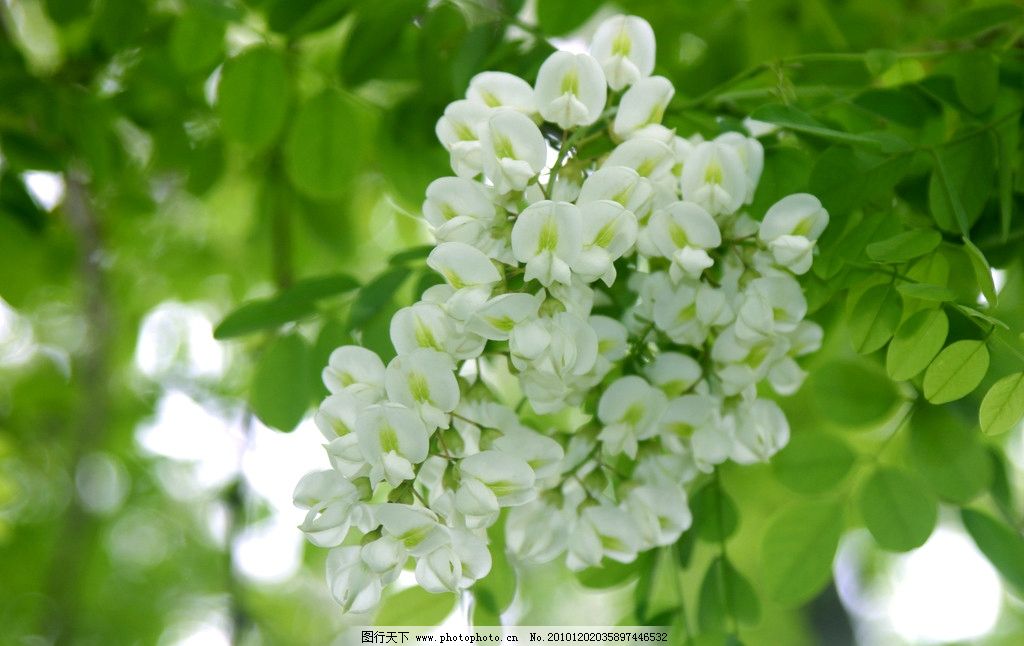 䓳Էl(xing)