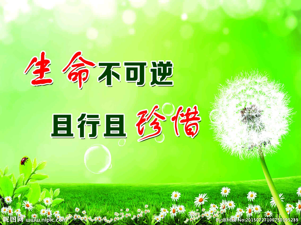 䓳ԷμtR(sh) ȫ